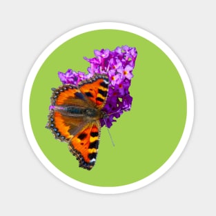 Tortoiseshell Butterfly Magnet